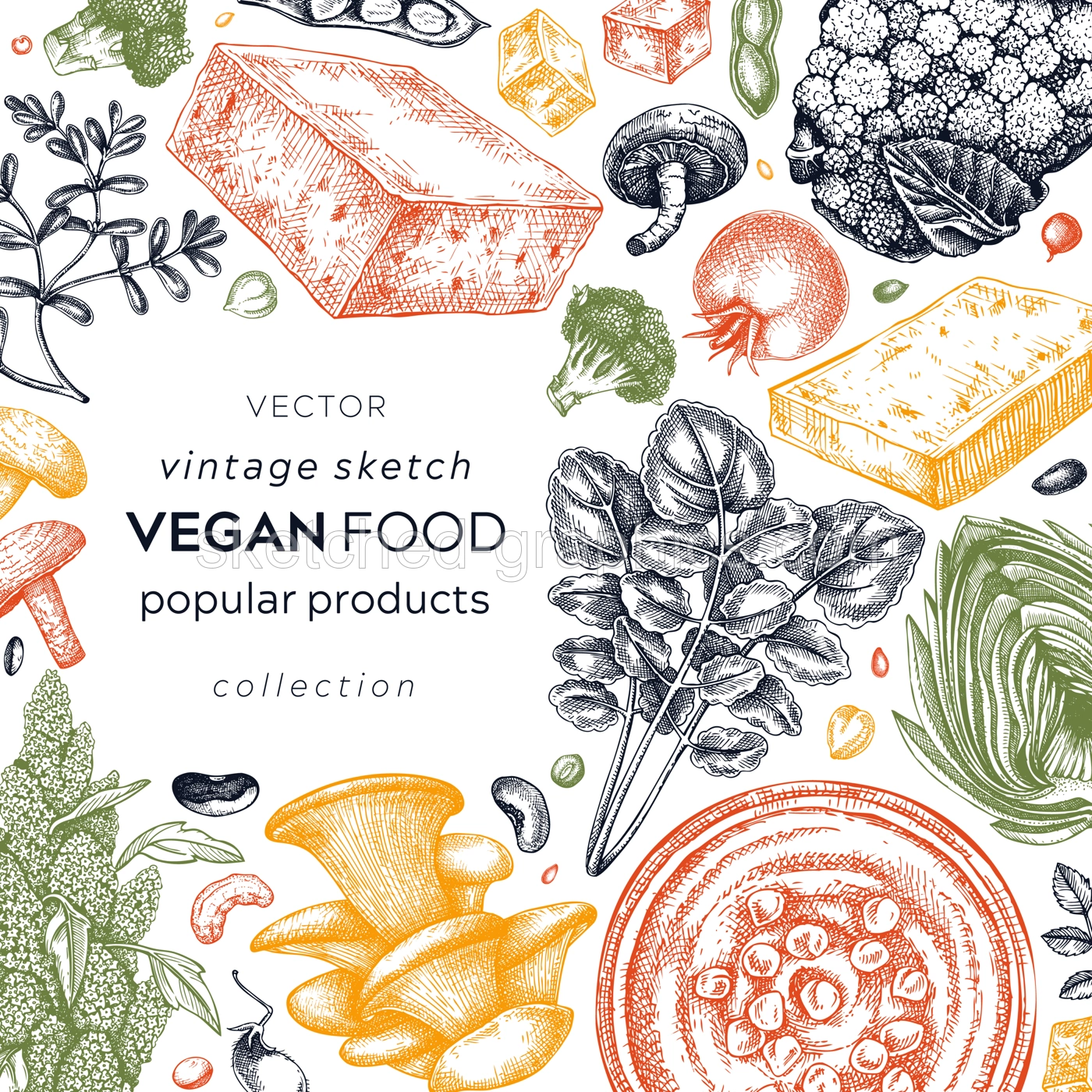 Vegan food sketched card. Healthy food banner template. Middle eastern cuisine frame. Hand-drawn vegan meals and ingredients for menu, recipe, and packaging design. Vegan food sketches in color Illustration